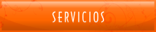 servicios